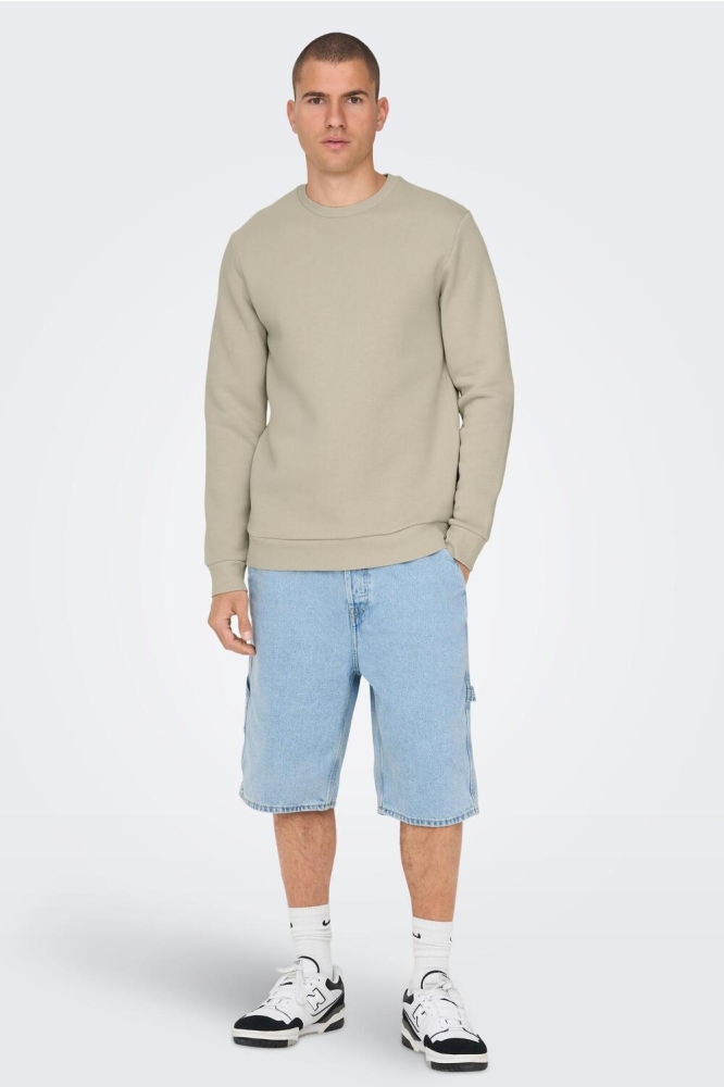 ONSCERES CREW NECK NOOS 22018683 Silver Lining